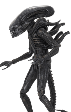 Alien 40th Anniversary Wave 4 – Ripley 7-Inch Scale Action Figure