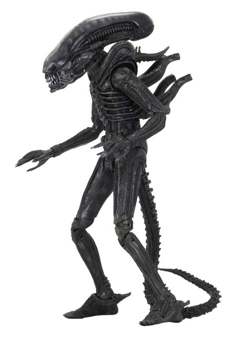 image-c401fd0b555c463499288dd0ad1bbd73 image-c401fd0b555c463499288dd0ad1bbd73