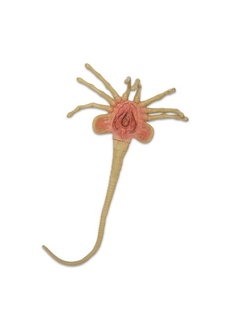 image-a0062907e49d4487839f4de679d43728 image-a0062907e49d4487839f4de679d43728