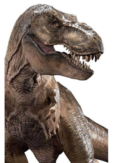 image-ee3393076f484025a9d92a5ec8013827 image-ee3393076f484025a9d92a5ec8013827