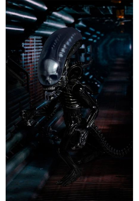 image-568199915f704a69a8df0f84160716a2 image-568199915f704a69a8df0f84160716a2