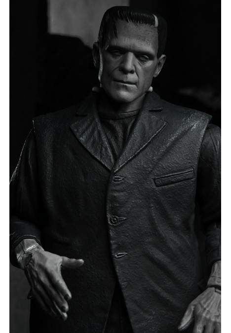 image-47ef2923280d433fb62f1509d633aa7e image-47ef2923280d433fb62f1509d633aa7e