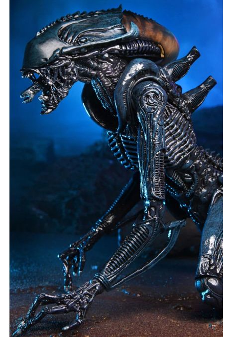 image-a407871f54ab43af8abc1e337dda7aea image-a407871f54ab43af8abc1e337dda7aea