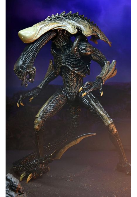 image-701c5e272e9743229124dbb6b119d555 image-701c5e272e9743229124dbb6b119d555