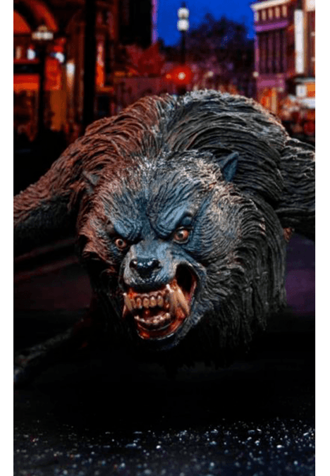 image-baf44331b55642ee8d879673473cf30c image-baf44331b55642ee8d879673473cf30c