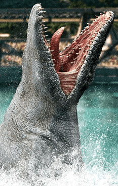 image-111d90cd8ad6434c82de8a5b4a36cff7