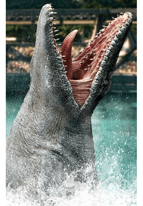 image-111d90cd8ad6434c82de8a5b4a36cff7 image-111d90cd8ad6434c82de8a5b4a36cff7