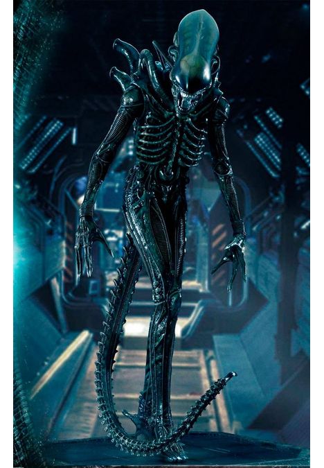 image-c1fedad6a6594030bced7d9c4502ced6 image-c1fedad6a6594030bced7d9c4502ced6