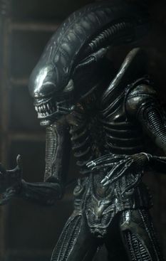 image-676a0f03730f4b38b7b49ab9475bc309