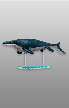 image-ce1bfeecd088491fb66ff3979f05c459