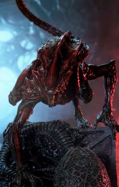 image-2cda436067f54a239002397552e8104c