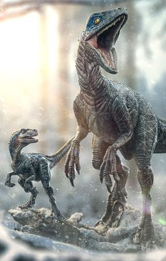 image-b33d5553ee724872924b0996e2dcca06