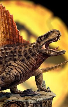 image-b2d4249f6a8e4660bb4676411f206b96