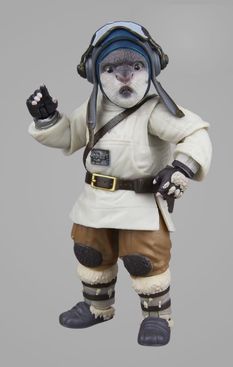 image-7f6c5d0e5c6e4df8bc98bc583b402d54